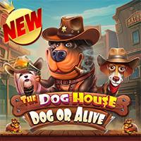 The Dog House - Dog or Alive