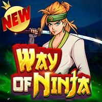 Way of Ninja